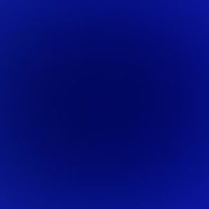 Meet your Posher, Shelly